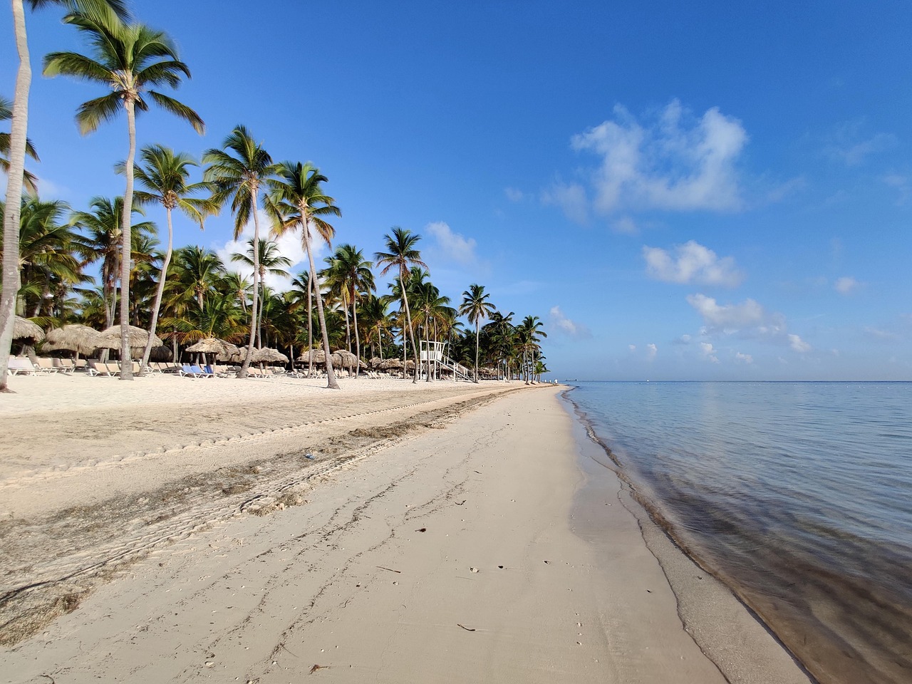 pages, caribbean, coconut, holiday, beach, relax, palm trees, sea, summer, nature, paradise, ocean, tropical, sky, landscape, hotel, dominican republic, punta-cana, bavaro-beach, dominican republic, dominican republic, dominican republic, dominican republic, dominican republic