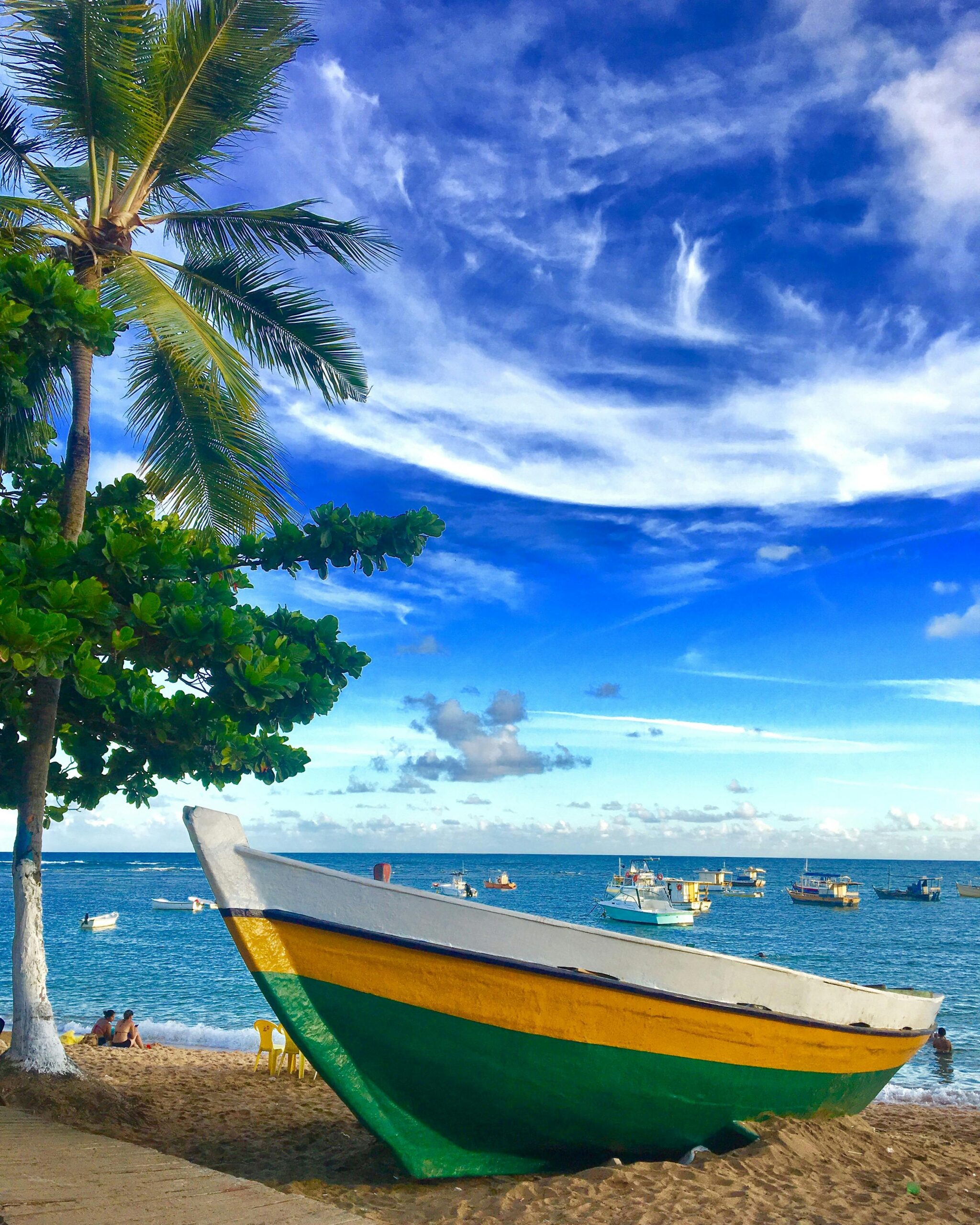 Vibrant tropical beach with a boat, palm trees, and fishing boats in Brazil's Praia do Forte.