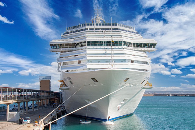 port, cruise, ship, cruise ship, passenger ship, shipping, nature, cruise vacation, pier, vessel, costa cruises, costa, holiday, sea, ocean, clouds