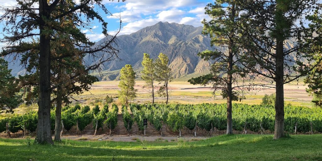landscape, vineyards, mendoza, argentina, nature, moutains, mountain range, andes, mendoza, mendoza, mendoza, mendoza, mendoza