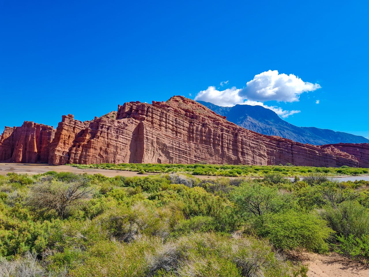 Explore the vibrant red rock formations and lush greenery under a clear blue sky in Salta, Argentina.
