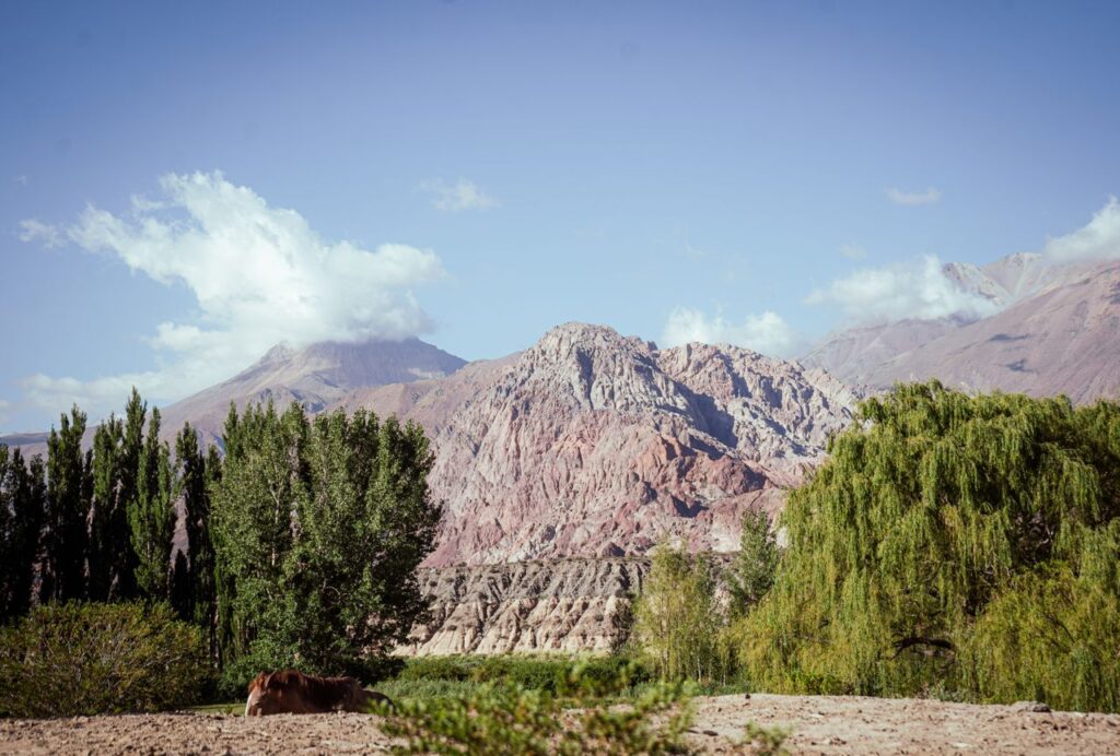 Scenic view of Uspallata's mountainous terrain with lush greenery, located in Mendoza, Argentina.