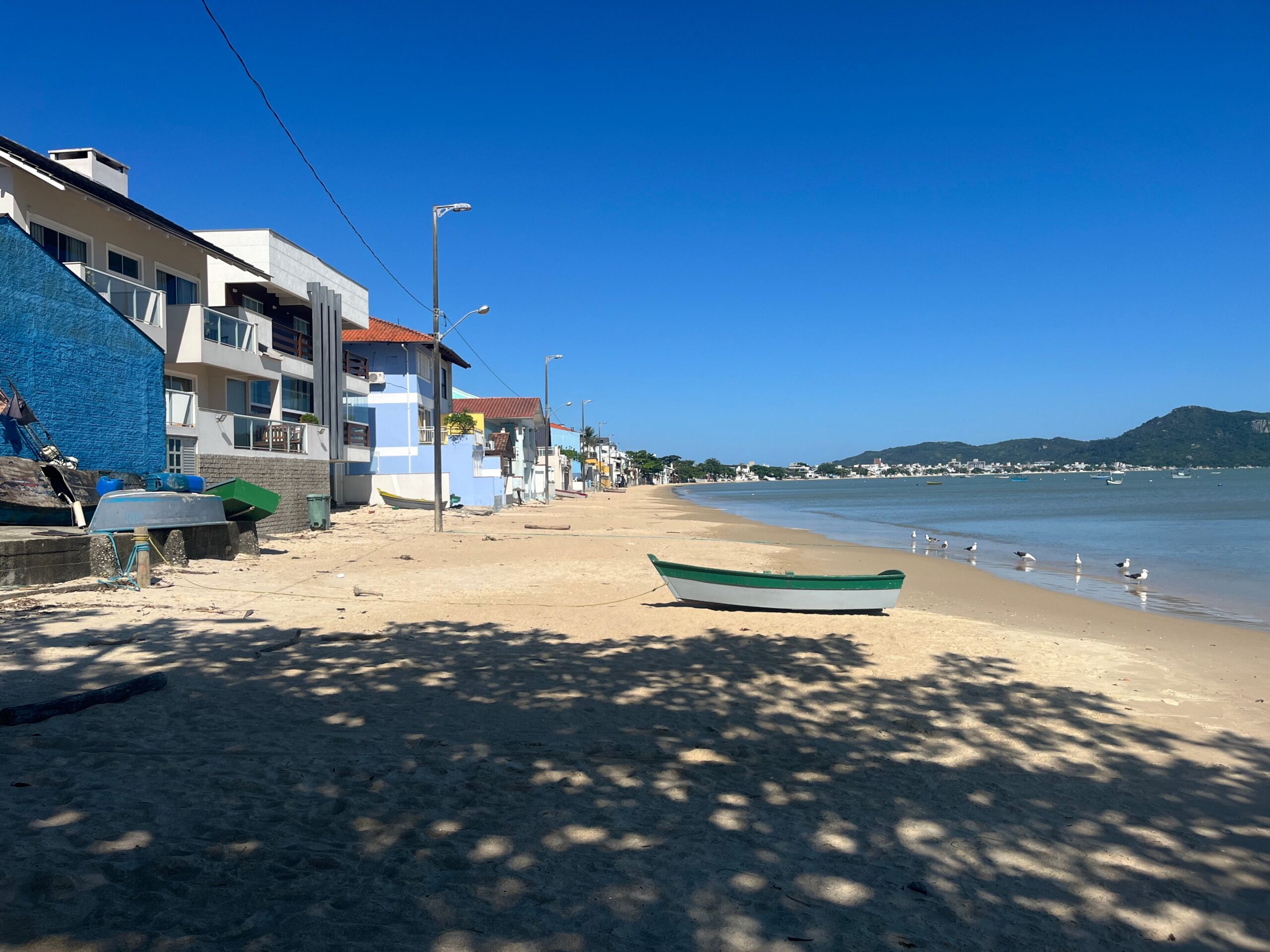 Calm beach scene with boats and seagulls on a sunny day in Florianópolis, Brazil.